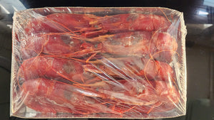 西班牙9-11頭大紅蝦